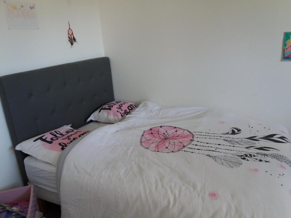 Chambres, cuisine, piscine, spa, billards, airhockey, nature Fillinges Esterno foto